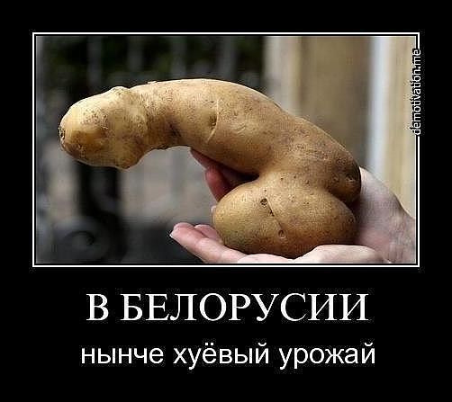 в белоруссии.jpg