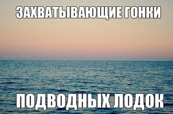 гонки.jpg
